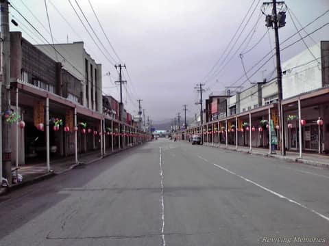 高田駅前通り商店街（2/4）(2010年3月18日)