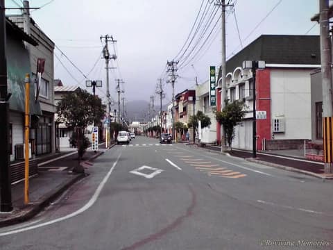 高田大町通り商店街（2/2）(2010年3月18日)