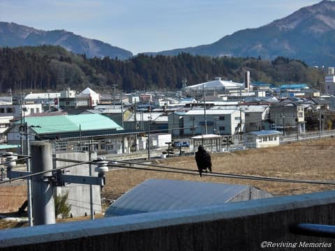 県立病院からの眺め(並杉～裏田地区)No.2（1/1）(2010年3月3日)