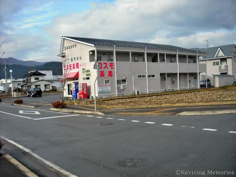 コスモ薬局（1/1）(2010年3月8日)