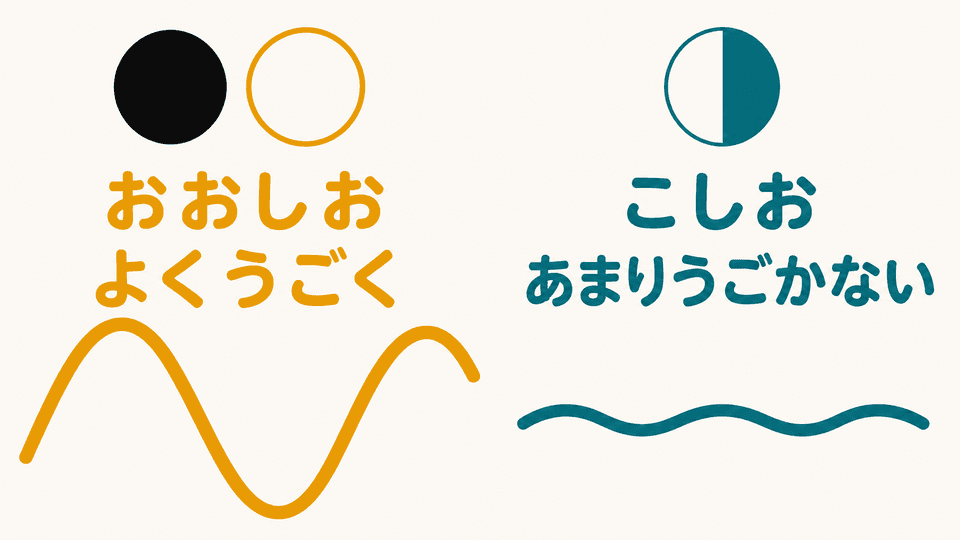 新月と満月の大潮は潮位が大きく動き、半月の小潮は潮位の動きが小さいことを示す図